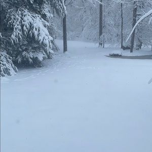 Meet your Posher, Rasha